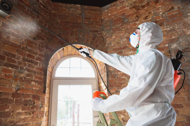 Professional Mold Inspection in Oreland, PA